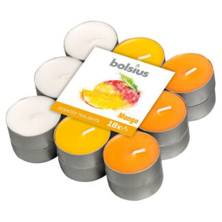 CANDELA LUMINO FRUTTI ROSSI Pz 18 BOLSIUS