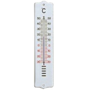 TERMOMETRO PLASTICA ECO              101032 MOLLER