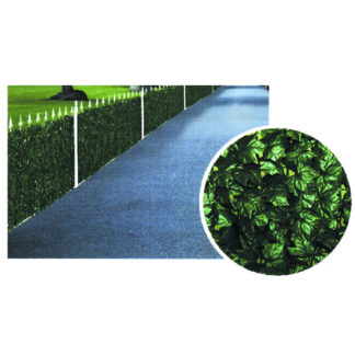 SIEPE EDERA h 100 m 20                  TREX 06231