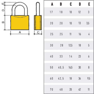 LUCCHETTO OTTONE mm 20                      POTENT